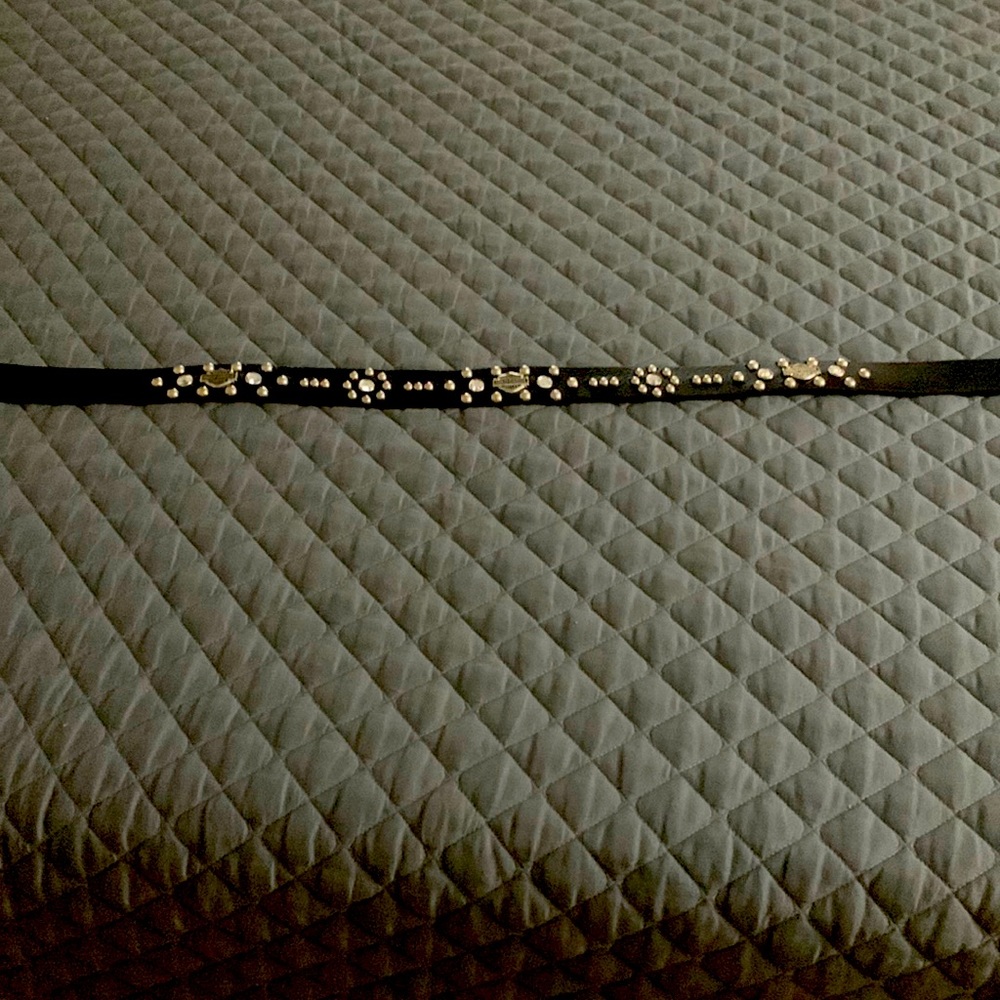 Harley Davidson Belt